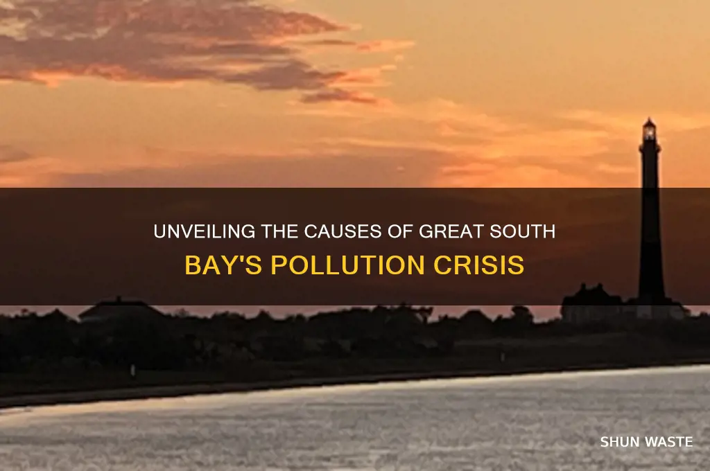 why was the great south bay polluted