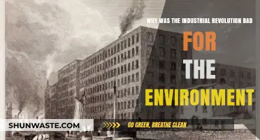 Industrial Revolution's Dark Legacy: Environmental Degradation and Long-Term Impacts