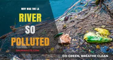 Uncovering the Causes of the LA River's Severe Pollution Crisis