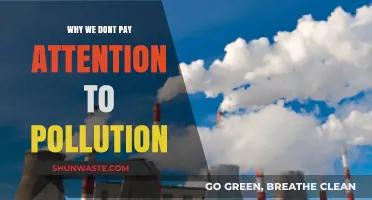 Ignoring the Invisible Threat: Why Pollution Fades from Our Focus