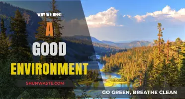 Nurturing Nature: Why a Healthy Environment is Essential for All