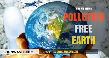 Breathing Clean: The Urgent Need for a Pollution-Free Earth