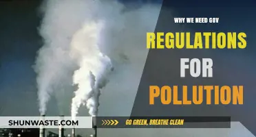 Why Government Regulations Are Essential to Combat Pollution