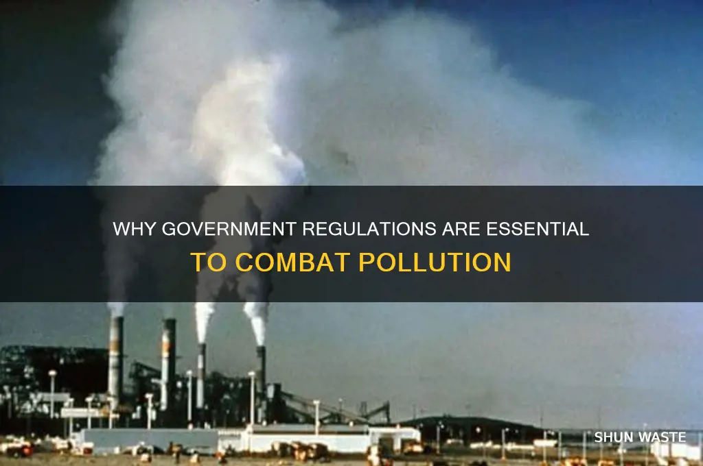 why we need gov regulations for pollution