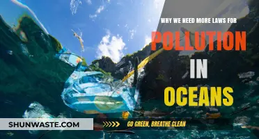 Protecting Our Oceans: Urgent Need for Stronger Pollution Laws