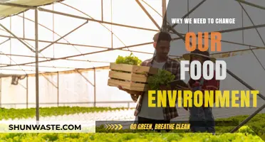 Transforming Our Food Environment: A Crucial Step for Healthier Living