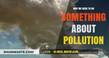 Urgent Action Needed: Tackling Pollution for a Sustainable Future