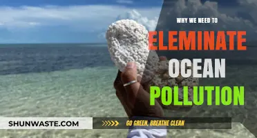 Urgent Action Needed: Eliminating Ocean Pollution to Save Marine Life
