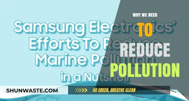 Reducing Pollution: Urgent Steps to Save Our Planet and Future