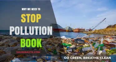 Stop Pollution Now: Why We Need to Act Urgently