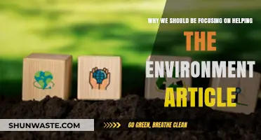 Sustainable Future: Why Prioritizing Environmental Action Matters Now More Than Ever