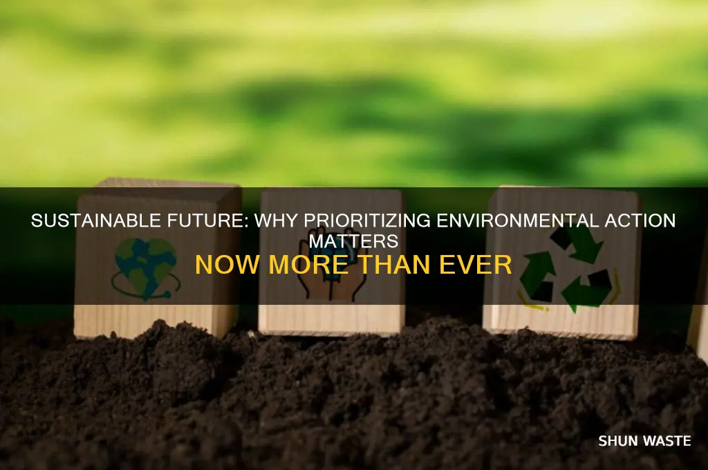 why we should be focusing on helping the environment article