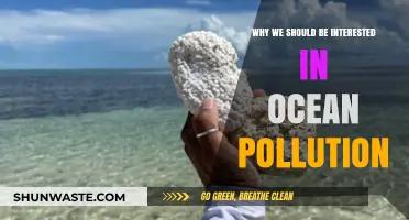 Ocean Pollution Crisis: Why Our Future Depends on Clean Seas