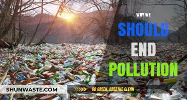 Ending Pollution: A Urgent Call to Save Our Planet and Future