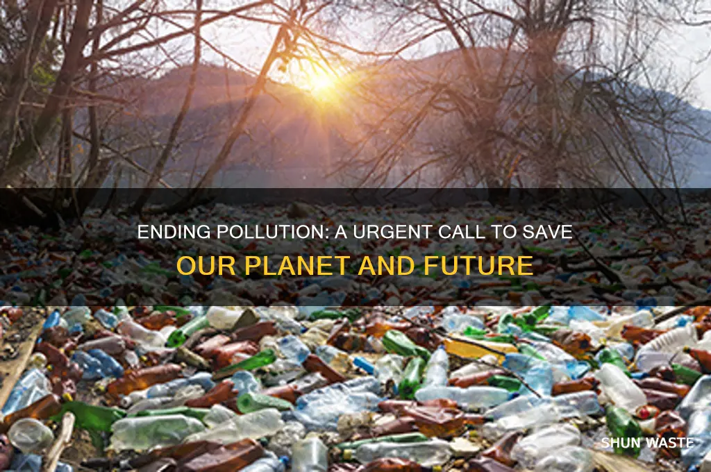 why we should end pollution