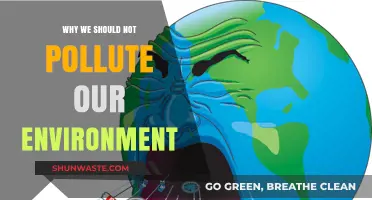 Protect Our Planet: The Urgent Need to Stop Environmental Pollution
