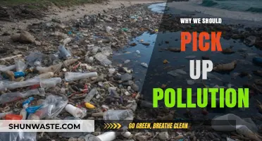 Picking Up Pollution: Small Actions, Big Impact for a Greener Future