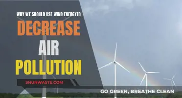 Wind Power: Clean Energy, Pollution Solution