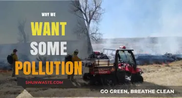 The Surprising Benefits of Controlled Pollution for Our Ecosystem