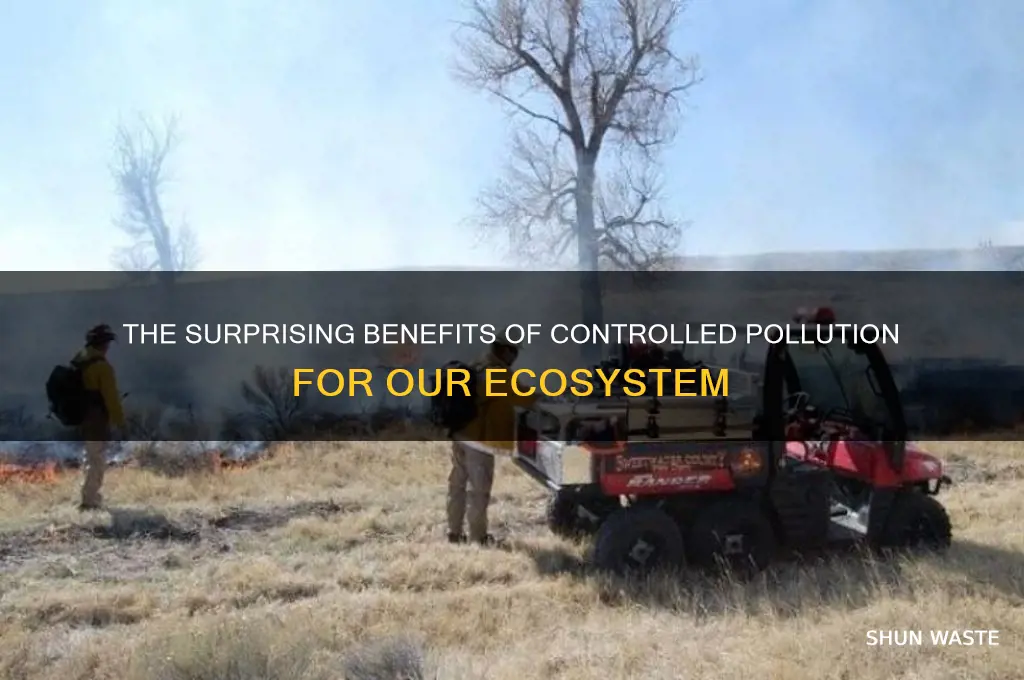 why we want some pollution