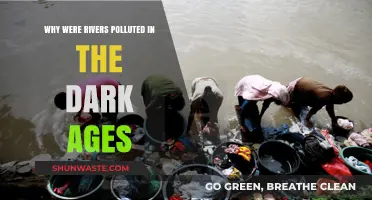 Dark Ages River Pollution: Causes and Environmental Impact Explained