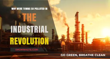 Industrial Revolution's Dark Legacy: Unraveling the Pollution Crisis in Towns