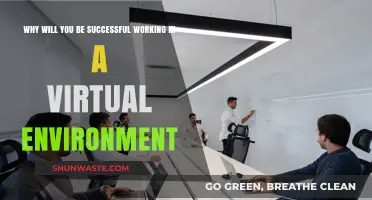 Thriving Virtually: Keys to Success in Remote Work Environments