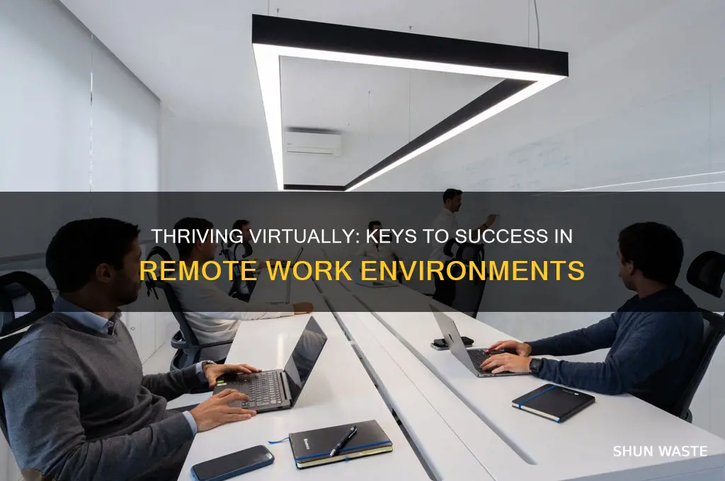 why will you be successful working in a virtual environment