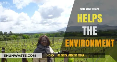 Wine Grapes: Sustainable Farming for a Greener, Healthier Planet