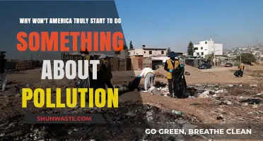 America's Pollution Crisis: Why Inaction Persists Despite Growing Threats