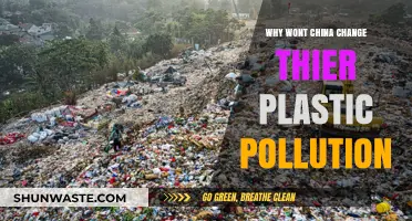 China's Plastic Pollution Crisis: Barriers to Change and Solutions