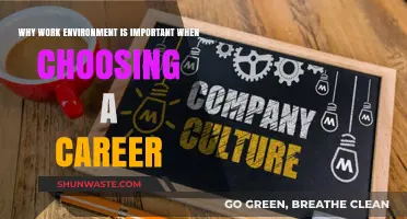 Choosing a Career: Why Your Work Environment Matters Most