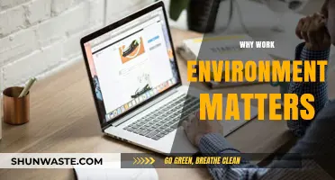 Why Your Work Environment Shapes Productivity and Job Satisfaction