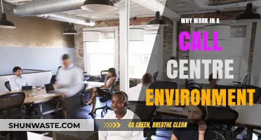 Thriving in a Call Centre: Benefits, Growth, and Team Dynamics