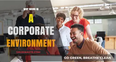 Thriving in Corporate Culture: Benefits of Working in Structured Environments
