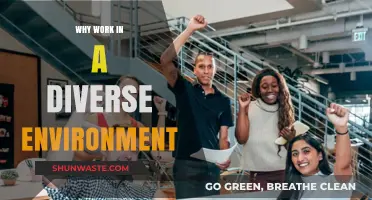 Embrace Diversity: Why Working in a Varied Environment Fuels Innovation and Growth