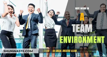 Collaborate to Succeed: The Power of Teamwork in the Workplace