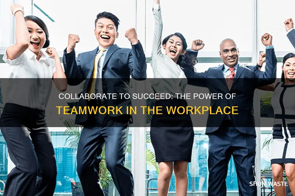 why work in a team environment