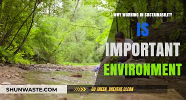Sustainability Careers: Protecting Our Planet for a Greener Future