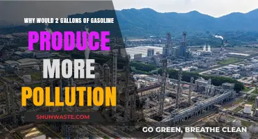 Gasoline's Hidden Impact: How 2 Gallons Fuel Pollution
