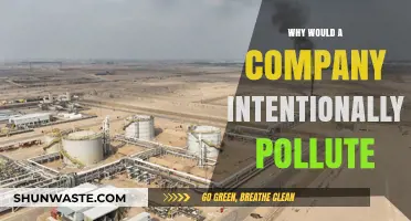 Corporate Pollution Paradox: Why Companies Choose Profits Over Environmental Responsibility