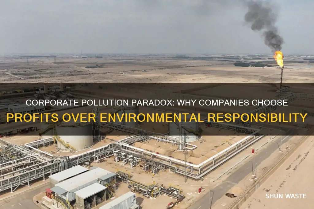 why would a company intentionally pollute