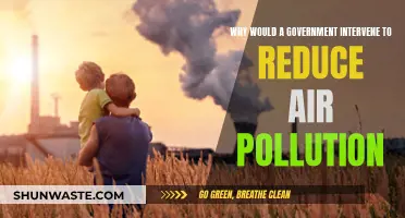 Government Intervention: Reducing Air Pollution, Saving Lives