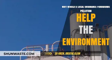 Local Pollution Ordinances: How They Protect and Restore Our Environment