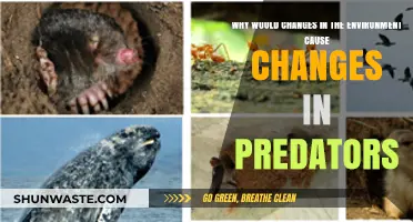 Environmental Shifts: How Habitat Changes Alter Predator Behavior and Survival