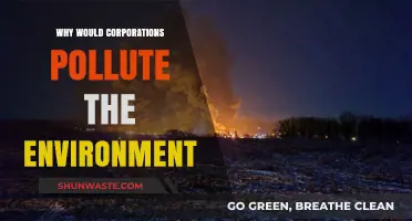 Corporate Greed and Environmental Pollution: A Toxic Relationship Explained