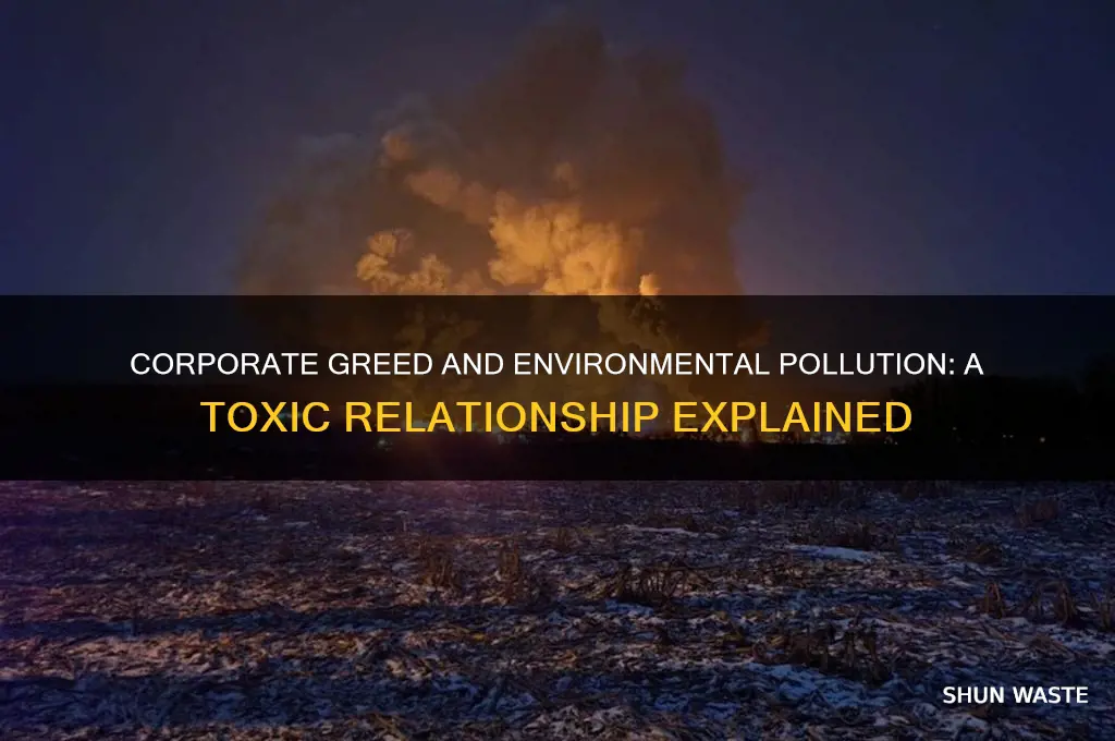 why would corporations pollute the environment
