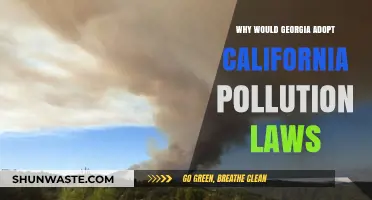 Georgia's Shift: Adopting California's Strict Pollution Laws for a Greener Future