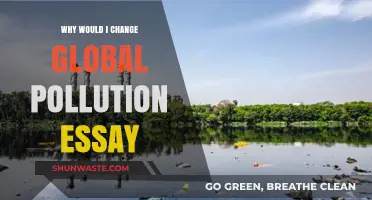 Revising Global Pollution Essays: Enhancing Impact and Relevance for Change