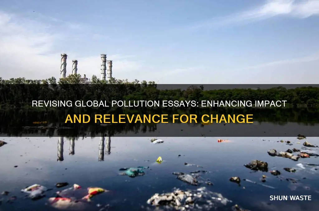 why would i change global pollution essay